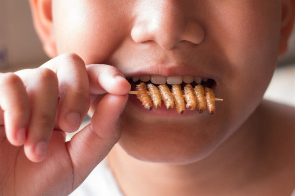 Kako znanstvenici znaju da su naši preci jeli insekte? Kako znanstvenici znaju da su naši preci jeli insekte?