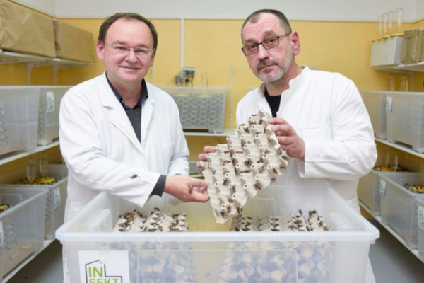 Mediji o Insektariju - Jutarnji list Mediji o Insektariju - Jutarnji list