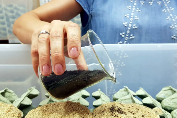 Meso uzgojeno u laboratoriju? Zašto ne i laboratorijski uzgojeno meso insekata? Meso uzgojeno u laboratoriju? Zašto ne i laboratorijski uzgojeno meso insekata?