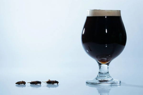 Cricket Dark Ale - prvo craft pivo s okusom cvrčka Cricket Dark Ale - prvo craft pivo s okusom cvrčka
